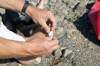 Prepping Your Feet for a Healthy Hike